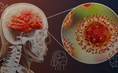 Meningitis, una enfermedad con muchas preguntas.