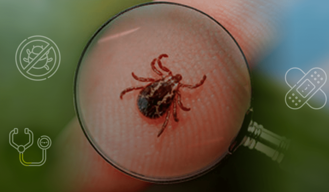 Enfermedad de Lyme, lo que puede pasar si te pica una garrapata