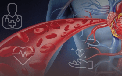 ¿Qué son las arterias y cuál es su función?